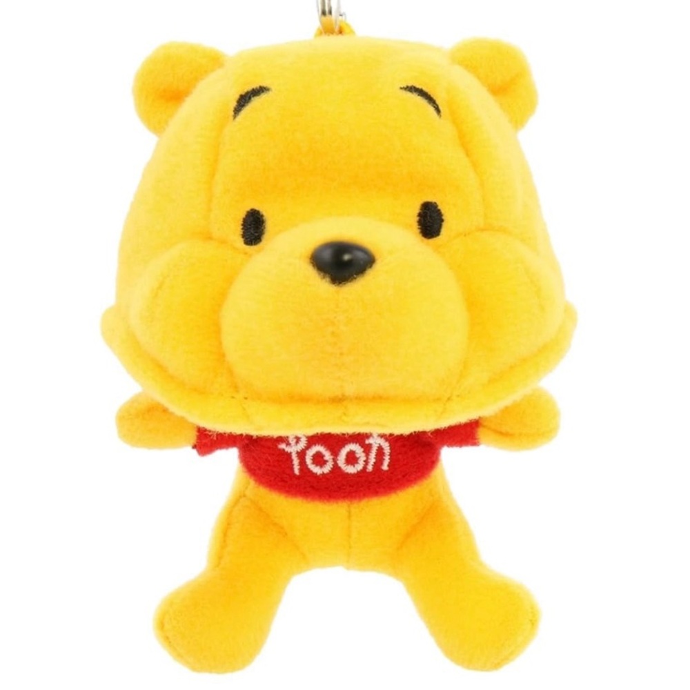 BNIB Disneyland Hong Kong Fun Cap Winnie The Pooh Keychain